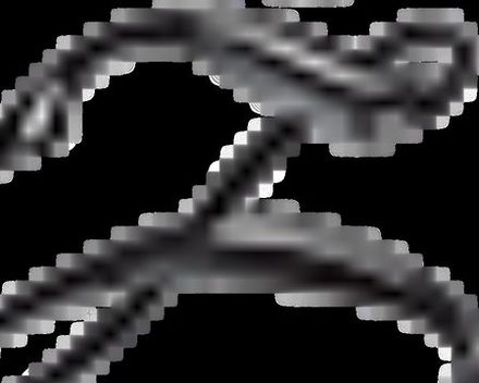 Zbrush